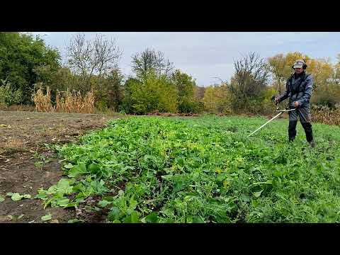 Видео: 157#Закриваємо сидерати. Ротоватори. Плуг. 18.10.2025