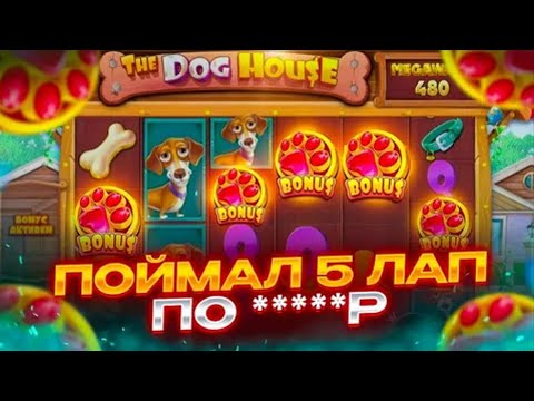 Видео: БОНУСКА НА 5 И 4 ЛАПЫ ПО СТАВКЕ ????р В СЛОТЕ The Dog House Megaways / ПОКУПАЮ ДОРОГИЕ БОНУСКИ