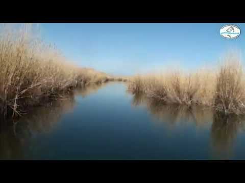 Видео: Открытие сезона подводной охоты на Балхаше 9 04 2015