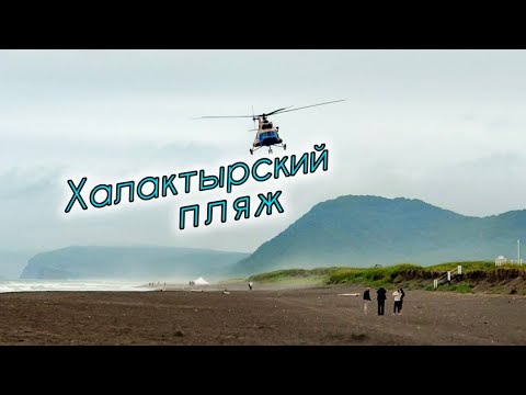Видео: КАМЧАТКА самостоятельно. На Халактырский пляж с палаткой!