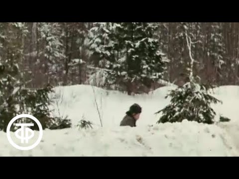 Видео: Происшествие (1974)