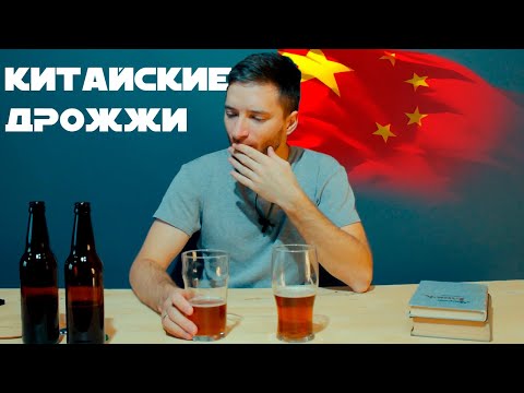 Видео: Варим пиво - эль на китайских дрожжах CN-36 и CS-31