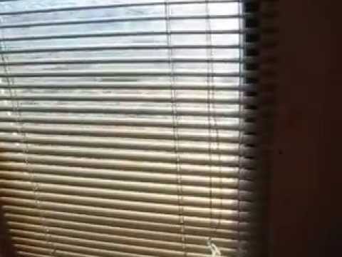 Видео: Автобус-Дом.