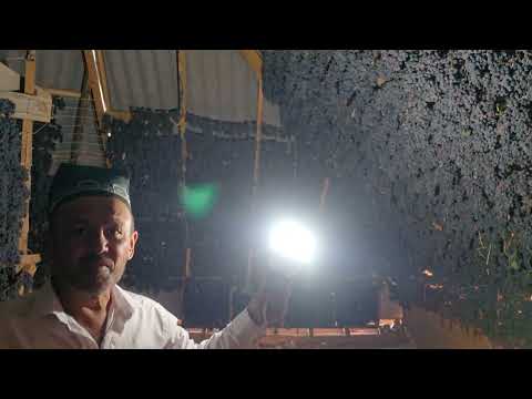 Видео: 928276991 акаи Усмон. Хушк кардани ангур дар болои бом.