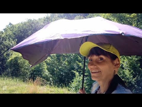 Видео: Жега е