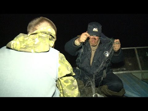 Видео: Рыбак Рыбаку 542 "Ловля браконьеров".