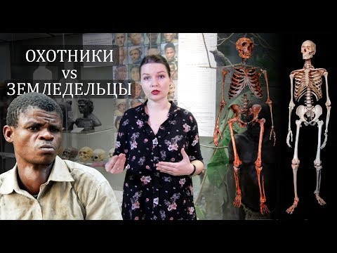 Видео: Переход от охоты к земледелию, стало ли лучше? Елена Сударикова