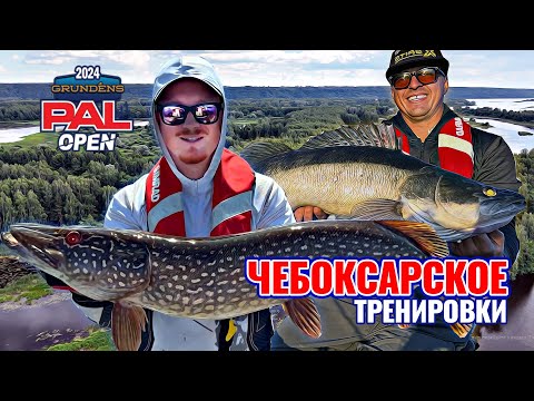 Видео: Ты помнишь как все начиналось? ТРЕНИРОВКИ PAL OPEN 2024