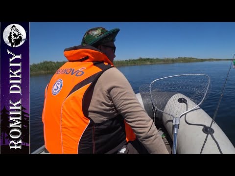 Видео: Разведка по змееголову. Топарские озера. Июнь 2024г