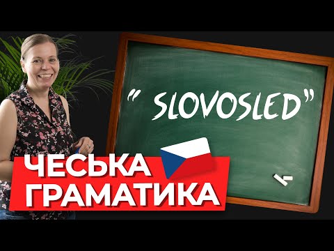 Видео: Местоимения в предложениях. Чешская грамматика.