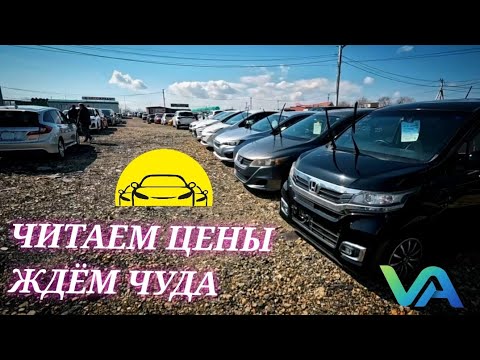 Видео: #автоподбор ЧИТАЕМ ЦЕНЫ | ПИНАЕМ КАМНИ | ЖДЁМ ЧУДА