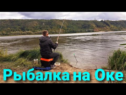 Видео: ШОК!!! 7 КГ КАРАСЯ ЗА РЫБАЛКУ НА ОКЕ!!! ЛОВЛЯ КАРАСЯ НА ФИДЕР. Рыбалка в Нижнем Новгороде 2021
