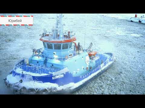 Видео: Заход в порт Сабетта