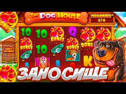 Видео: ЖЕСКТИЙ ЗАНОС НА СОБАКАХ / THE DOG HOUSE MEGAWAYS ВЫДАЧА НА 20.000 #заносы #slot #win