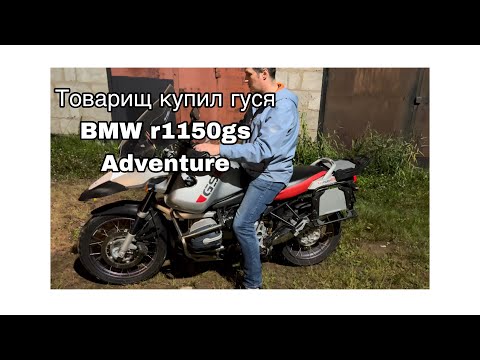 Видео: Товарищ купил гуся BMW r1150gs Adventure, осматриваю