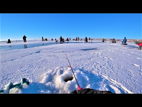 Видео: На льду АНШЛАГ!!!! Первая зимняя рыбалка на судака