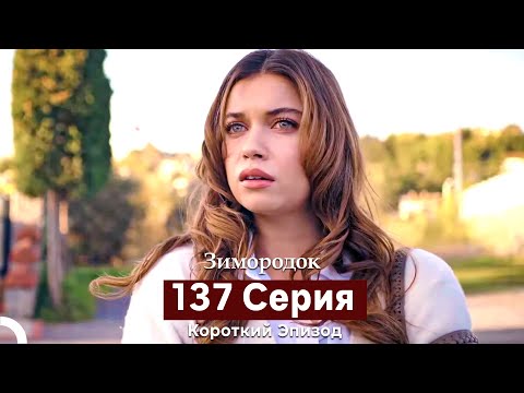 Видео: Зимородок 137 Cерия (Короткий Эпизод) (Русский дубляж)
