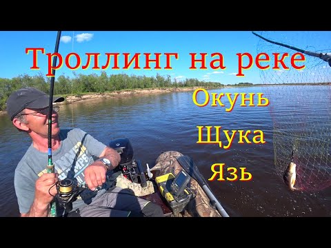 Видео: Ловим окуня, язя и щуку на троллинг. Река Вычегда.