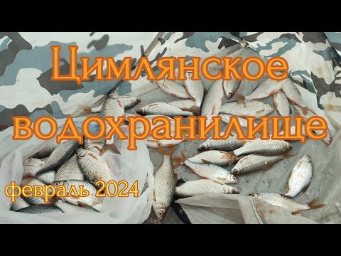 Видео: Зимняя рыбалка. Цимлянское водохранилище. Февраль 2024