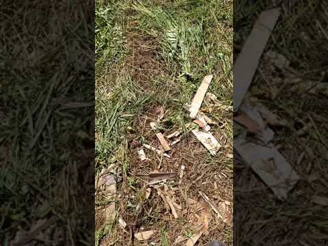 Видео: Самодельный вал отбора мощности в работе.
