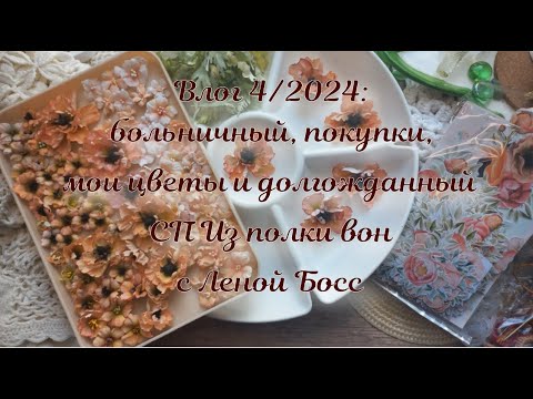 Видео: Влог 4/2024: март. Процессы, покупки, первая работа для СП "Из полки вон" с Леной Босс