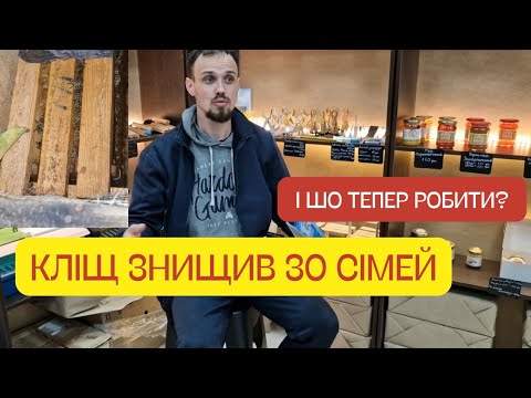 Видео: Кліщ доїдає ваших бджіл! Як боротися з кліщем, чому кліщ такий небезпечний!