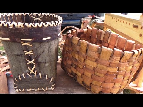 Видео: Сбор коры деревьев для корзин и т.п.