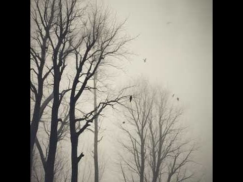 Видео: Горят огни