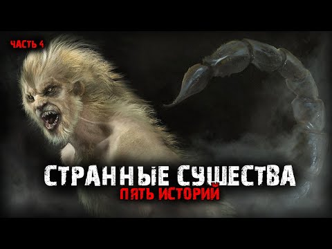 Видео: Встречи со странными существами (5в1) Выпуск №4.