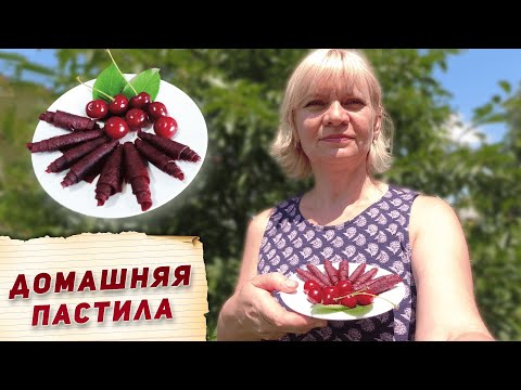Видео: Пастила из вишни в домашних условиях. Рецепт в сушилке