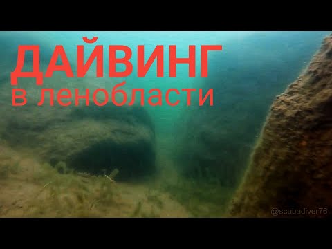 Видео: Дайвинг в Ленинградской области. Гавриловский карьер