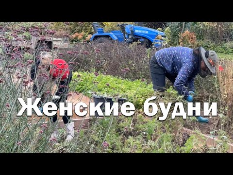 Видео: Чем женщине заняться в деревне? // Женские будни