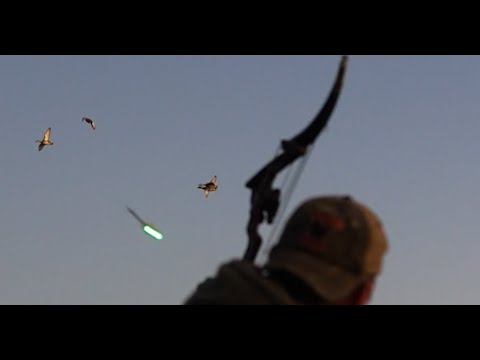 Видео: Двадцать потрясающих снимков