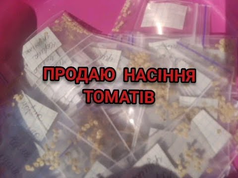 Видео: ПРОДАЮ СОРТОВІ КОЛЕКЦІЙНІ НАСІННЯ ТОМАТІВ (85 CОРТІВ).КАРТА 5457 0850 0068 7887 !
