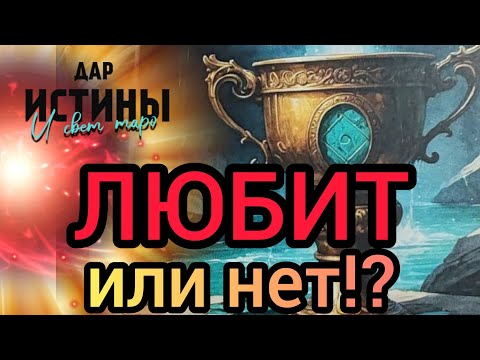 Видео: ✅🔯⁉️🔯✅ ЛЮБИТ или НЕТ ⁉️⁉️⁉️⁉️⁉️🔯✅