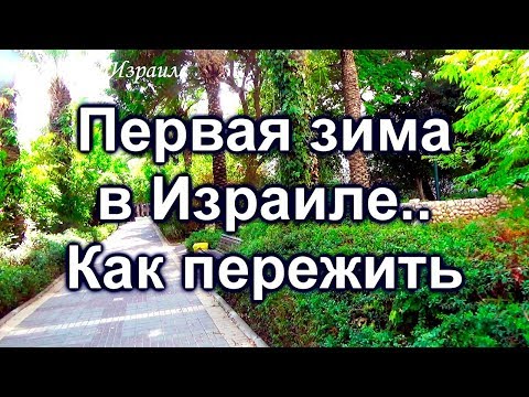 Видео: 608.Как согреться зимой в Израиле ?
