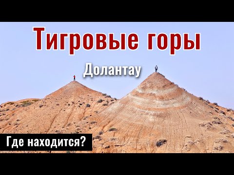 Видео: Тигровые горы | Сарытау | Долантау, область Жетысу, Казахстан, 2025 год.