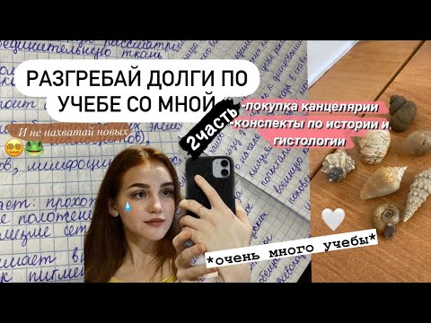 Видео: 👩🏻‍🎓STUDY WITH ME| Закрываю долги, 2часть| учись со мной, мотивация на учебу| биофак 🐸🔫