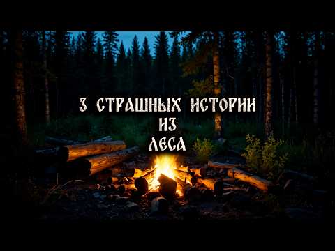 Видео: 3 СТРАШНЫЕ ИСТОРИИ ИЗ ЛЕСА! СТРАШНЫЕ ИСТОРИИ НА НОЧЬ