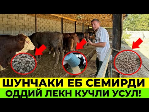 Видео: ШУНЧАКИ ЙЕБ СЕМИРШДИ 👀ОДДИЙ ЛЕКИН КУЧЛИ УСУЛ