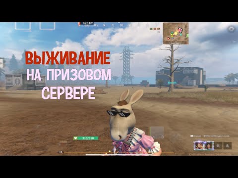 Видео: Дуо Выживание на Призовом Сервере FOX🦊 Часть 1| #lios #ldrs #rustmobile