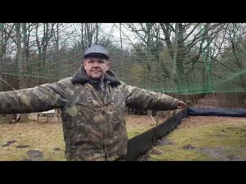 Видео: УЖЕ 1.5 ГОДА КРОЛИКИ ЖИВУТ В ЛЕСУ