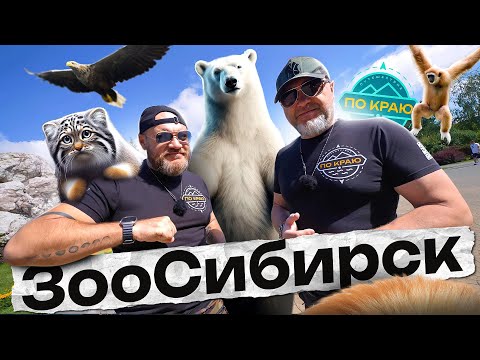 Видео: Новосибирский зоопарк