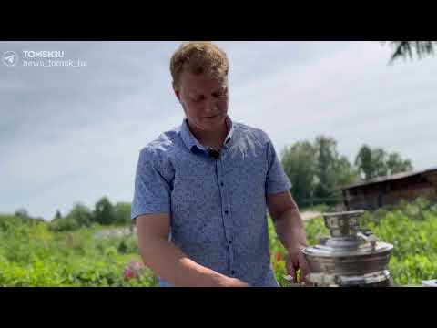 Видео: Сибиряк рассказал, как сделать бизнес на иван-чае