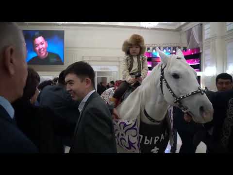 Видео: Тәуекел Бекұлы Сүндет той 12 11 23