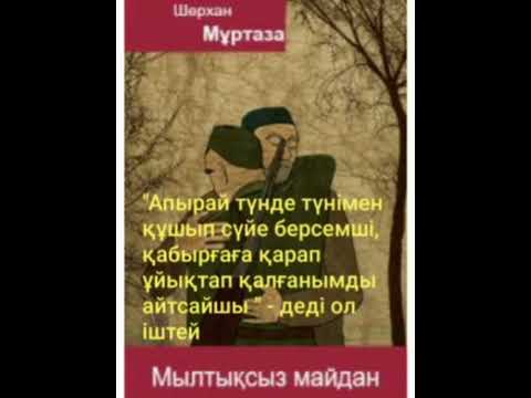 Видео: МЫЛТЫҚСЫЗ МАЙДАН 1-ші бөлім | Роман | Шерхан Мұртаза | #аудиокітап