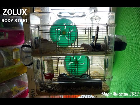 Видео: #ОБЗОР ZOLUX Клетка для грызунов RODY 3 DUO, 410*270*405мм ( Франция ) #ОТЗЫВ клетка для ПЕСЧАНОК