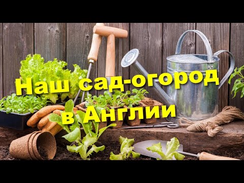 Видео: Наш сад. Что сажаем, что выросло и про английские огороды.