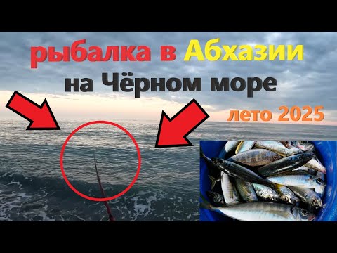 Видео: Рыбалка с берега на закате в Абхазии в Пицунде!!! Рыбалка в Пицунде на Чёрном море летом 2025.
