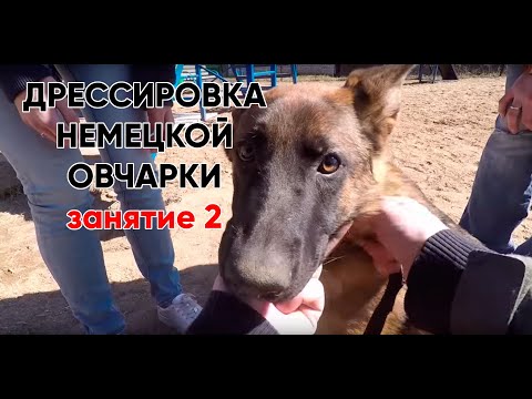 Видео: Начинаем с основной команды